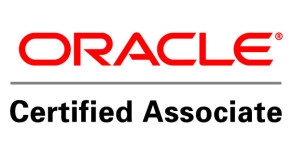 [Oracle] OCA 11g – Melhorias na Infraestrutura Inteligente