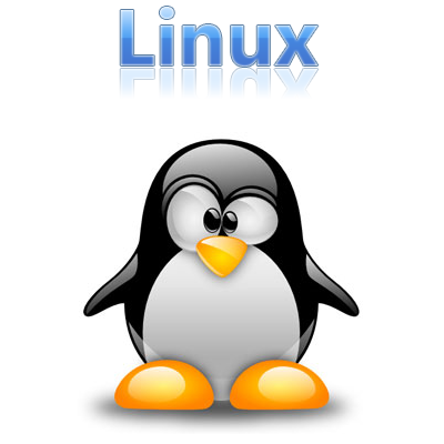 [Oracle] Anatomia de utilização de memória em servidores Linux